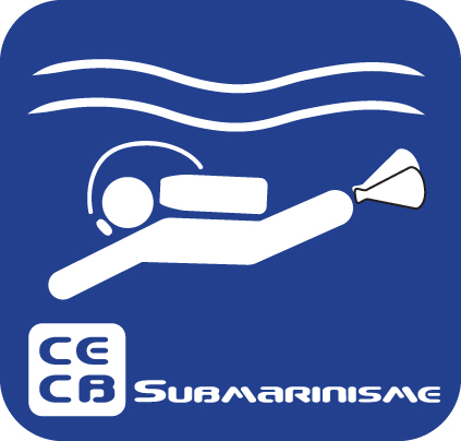 Curs submarinisme B1E @ Local Aquasub | Manresa | Catalunya | Espanya